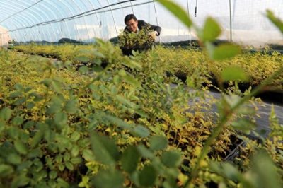 一中药营实关键技术研究产业化科创平台在无棣投用