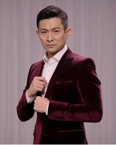 刘德华跨年演唱会:一次难忘的音乐盛宴