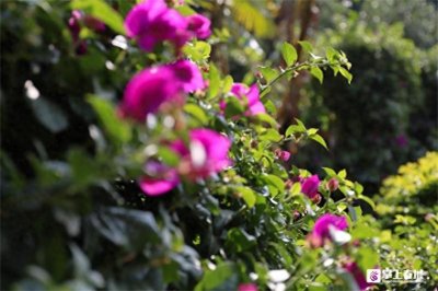 暖暖的东川,好在!好吃!好玩!