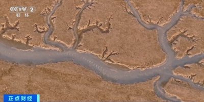 壮观!金光闪闪!江苏启东海边惊现“潮汐龙”→