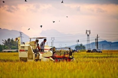 农业在中国的重要性
