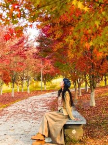 “枫”景如画 进入最佳观赏期 成都这个湿地公园红枫林火了