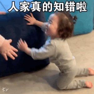 黄夏温下跪认错表情包合集|宝贝我错啦原谅我好不好