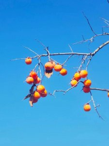 培养感恩的心的十八点(建议一读)