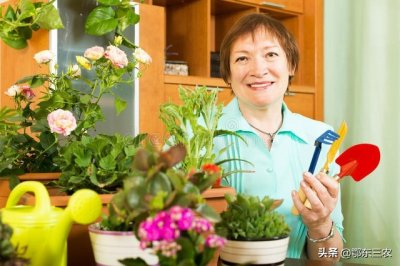 家里养花时,使用1克磷酸二氢钾究竟需要兑多少水?