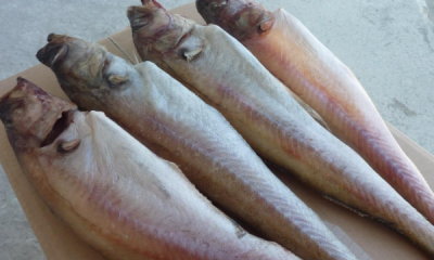 明太子是什么鱼的籽,明太子是什么鱼的籽怎么吃