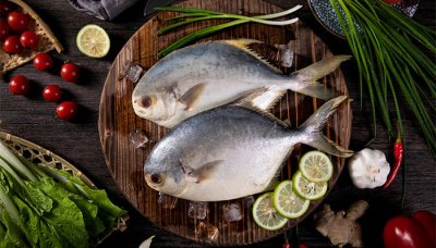 什么鱼好养 家庭养鱼 鱼有多少种类