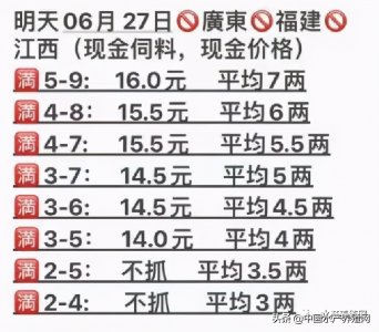 1亩最高赚40万!非法养殖会被重罚?规范牛蛙养殖,广东装备齐全