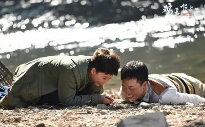 如何评价鸡毛飞上天