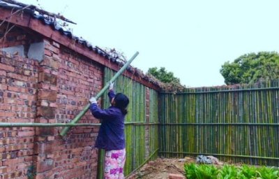 李子柒用5吨竹子搭建月季墙,看到成品,网友向往的生活!