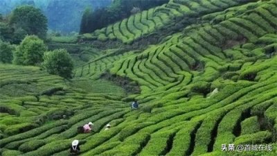 开建超四年后,投资超270亿的宜宾天宫山现状如何?