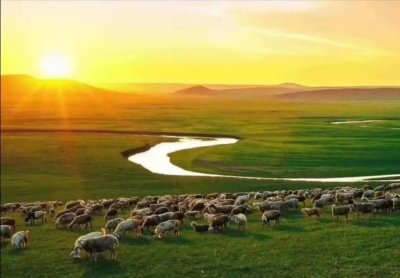 呼伦贝尔大草原旅游攻略