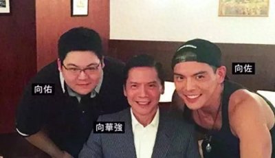 同父不同命!向佐被父母力捧,向佑却鲜有人知,网友:都怪他自己