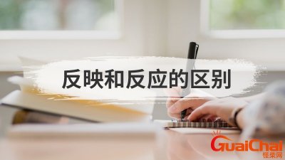 反映和反应的区别是什么?反映和反应的区别及用法