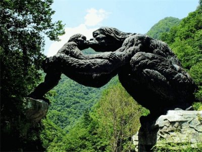 湖北神农架出现过山黄,既像虎又像豹,是华南虎的2倍大4倍重