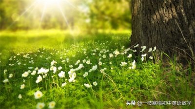 三阶幻方的规律及经典应用题!