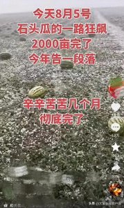 宁夏中卫冰雹致硒砂瓜产业受损,瓜农:多数西瓜被砸烂