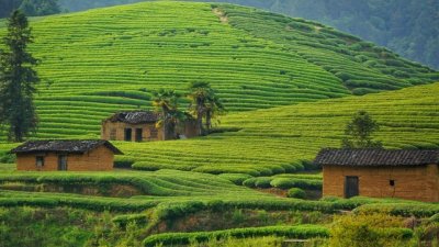 老人说“四人不上坟”,四人是谁?为什么不能上坟?