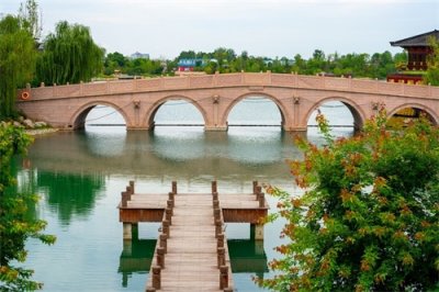 初学者无法双盘打坐,腿太痛怎么办?教你打坐快速入门的方法