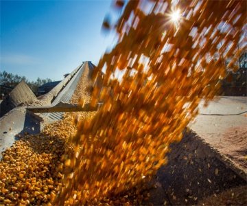 恋爱法则:如何敞开话题聊天