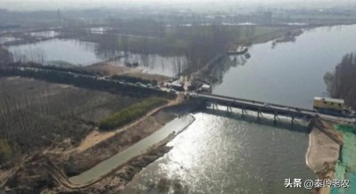 河南尉氏县,红薯苗何以成为产业巨头?从农田到产业的传奇之路。