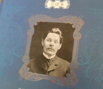 高傲的海燕,飞翔而起的高尔基