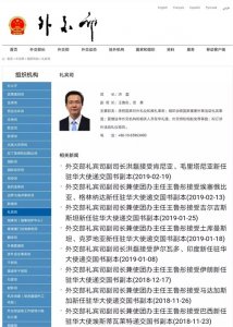 外交部原发言人洪磊的新职务