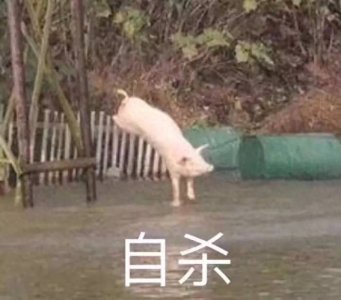 微信朋友圈互撩必备表情包,小哥哥处对象吗?