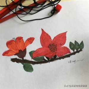 用马克笔和彩铅结合绘画的《木棉花》,简直是太吸引眼球了