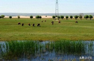 中国最励志的毛乌素沙漠:曾为我国第四大沙漠,75%面积变绿洲!