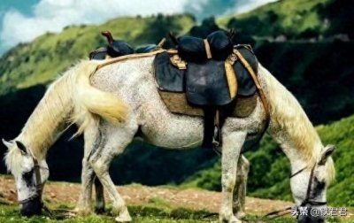 18张难以置信的巧合照片,太有意思了!