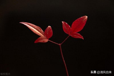 DRG支付模式,真的是医院的亏损黑洞?