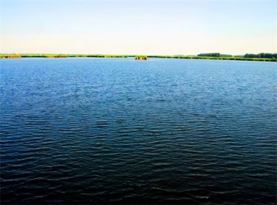 内蒙古旅游:磴口大漠明珠纳林湖(图)