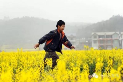 我有一壶酒,足可慰风尘。花开十里地,不可负春光